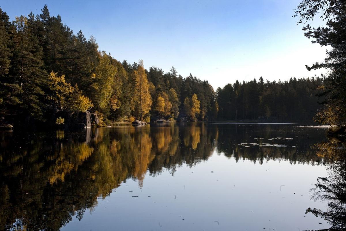 Åletjern2