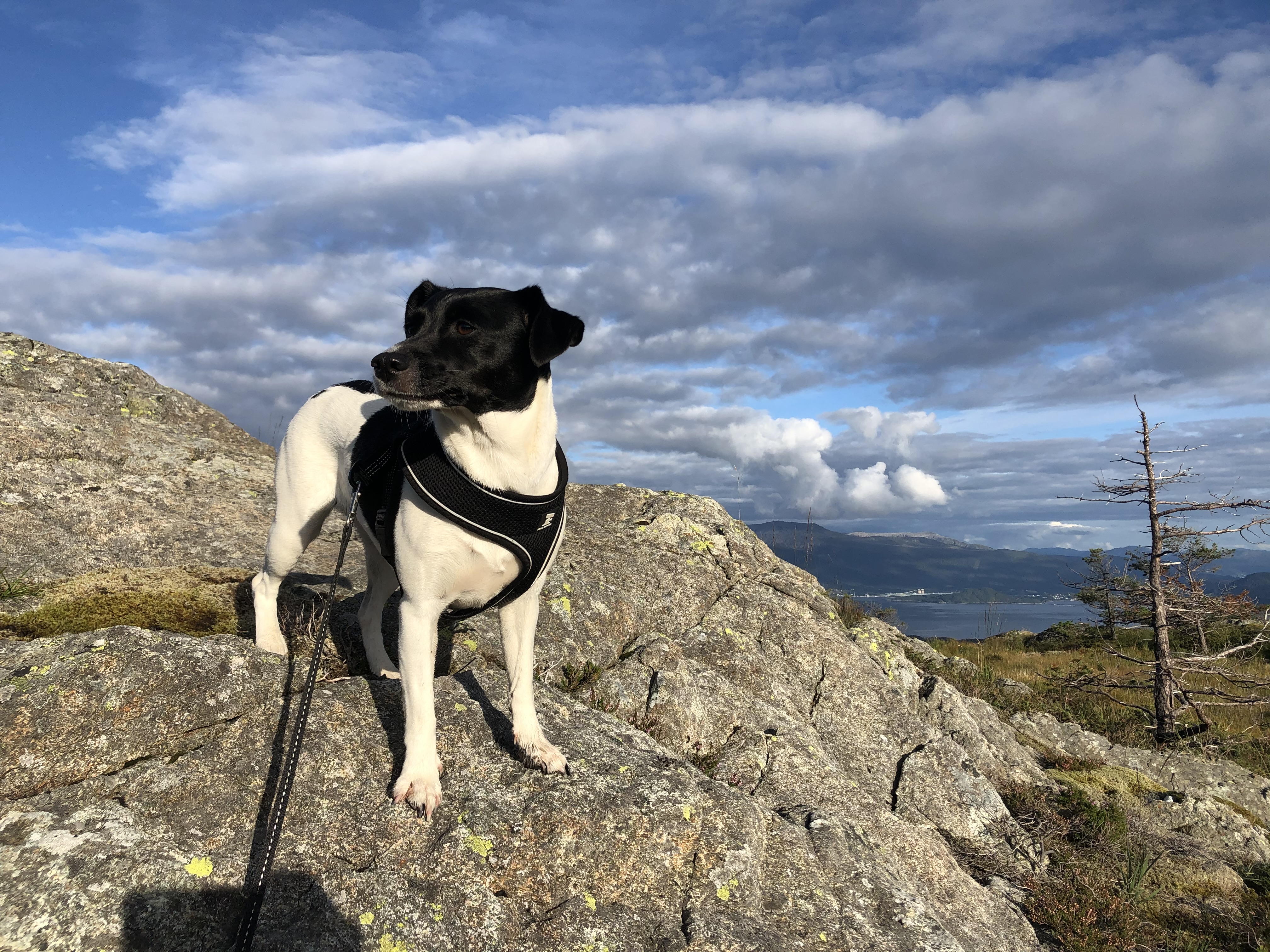 Øykjafjellet