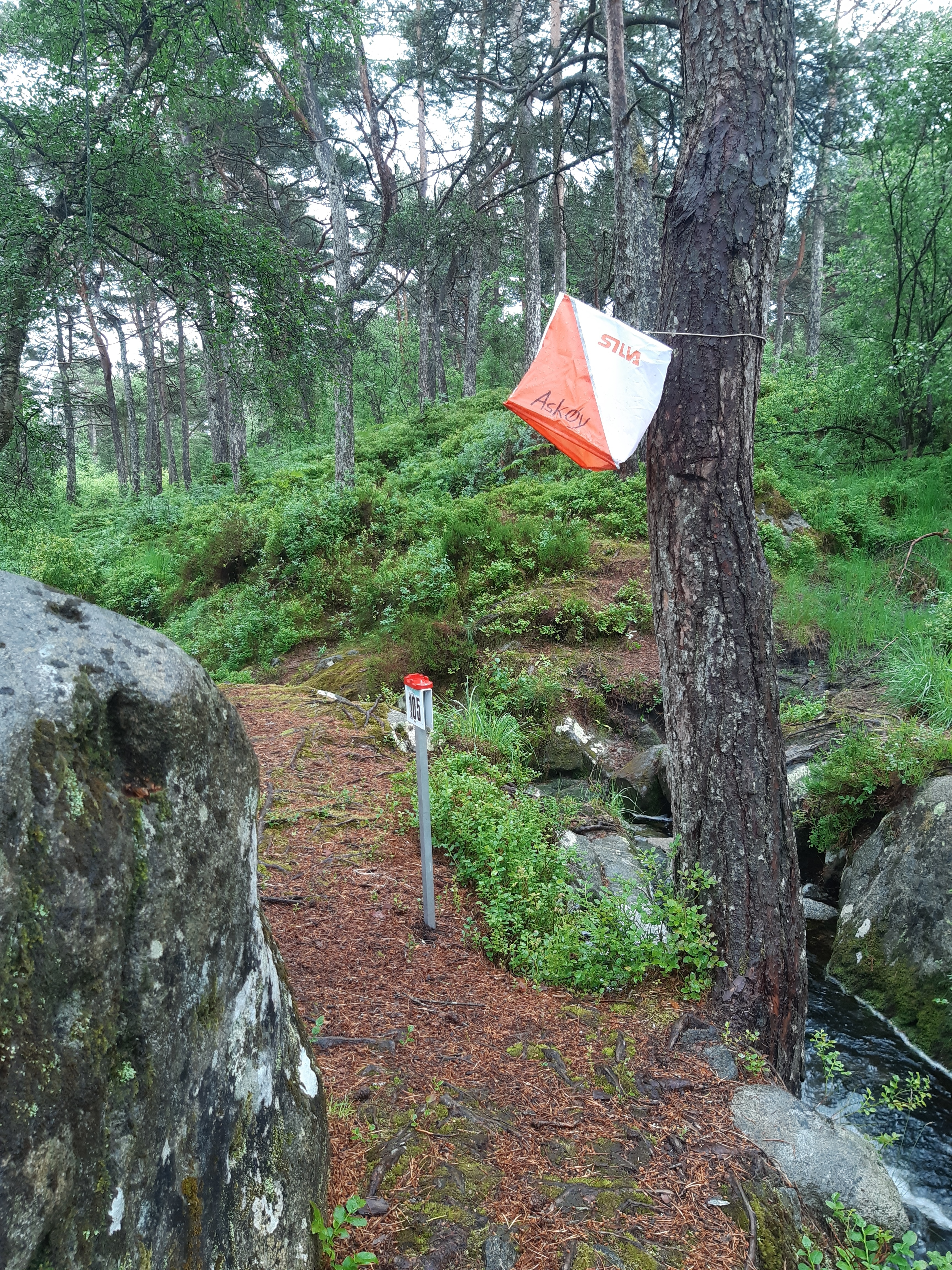 20240609 114047 2025 02 12 152609 mhse