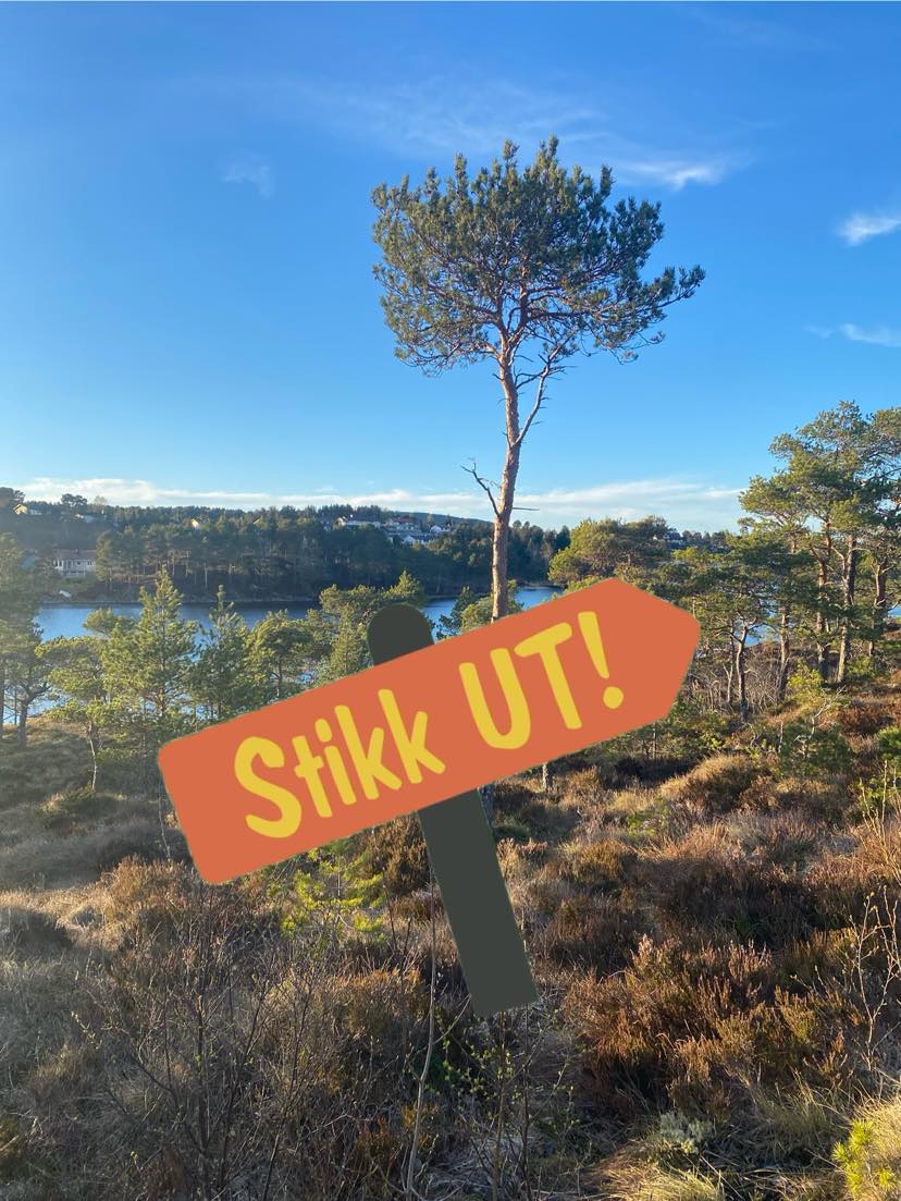 482368442 692795406414124 2644233543232865009 n