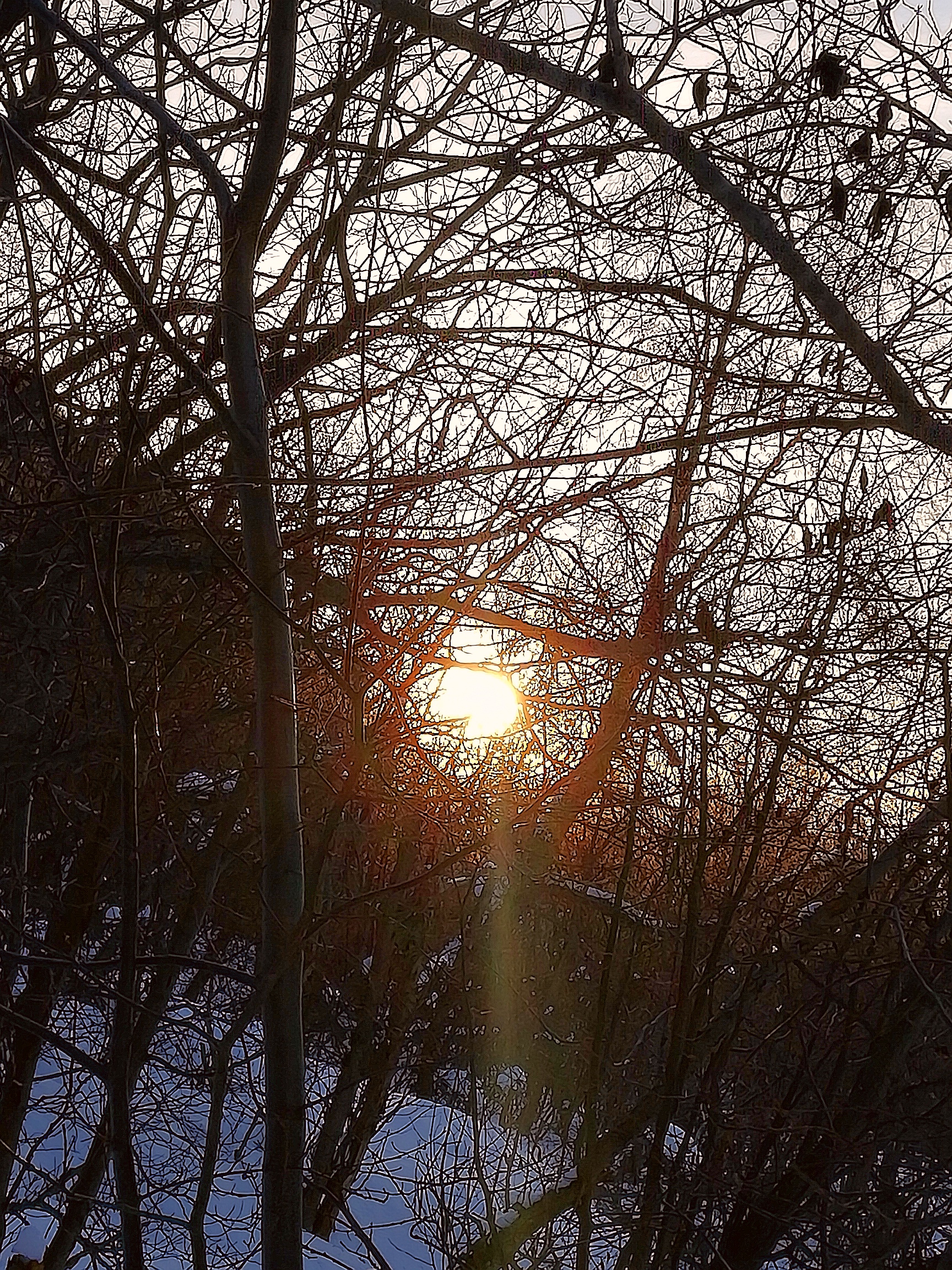 503
