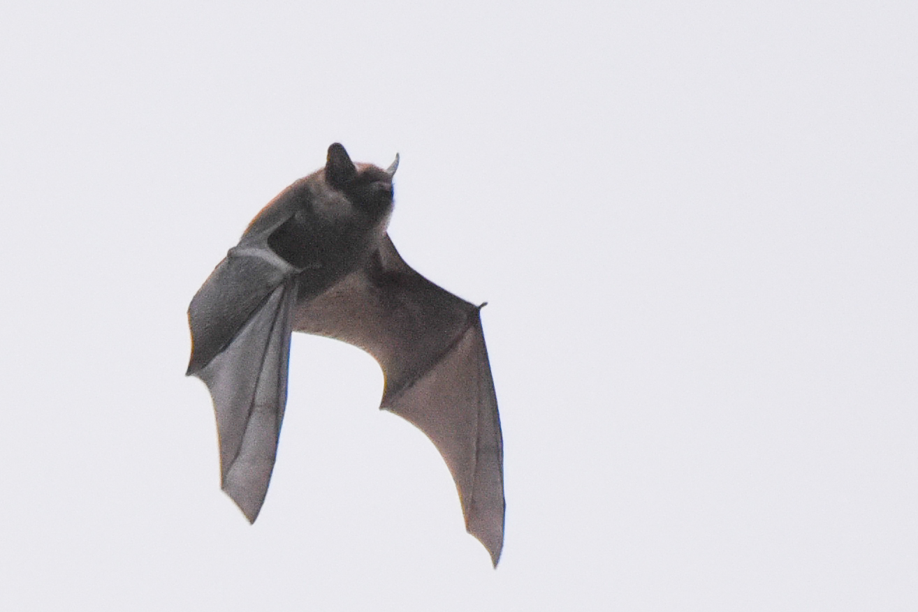 533489352 1337132821755687 7060978791089102337 n