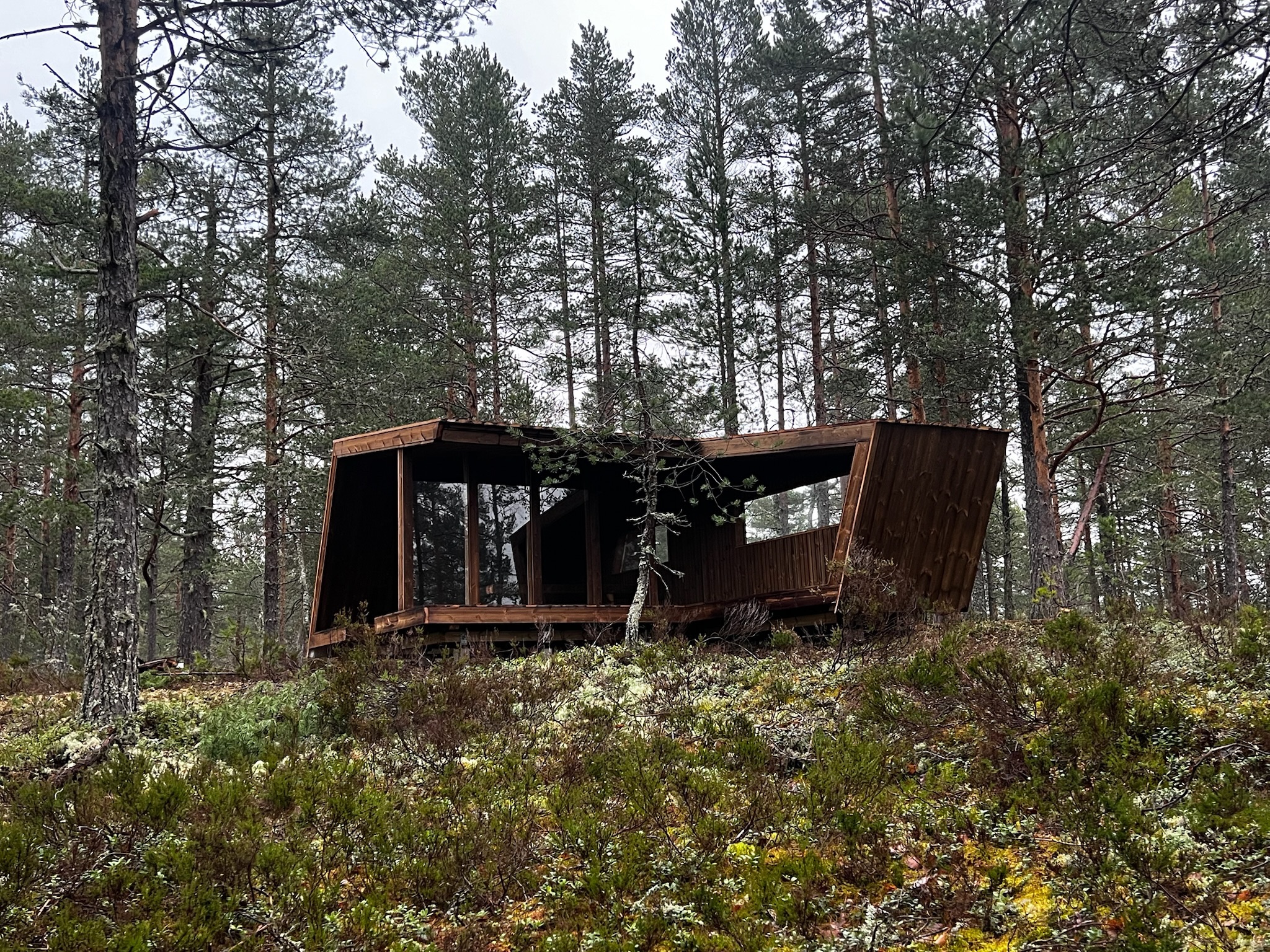 588451621 1315362497295491 4264388693480582041 n