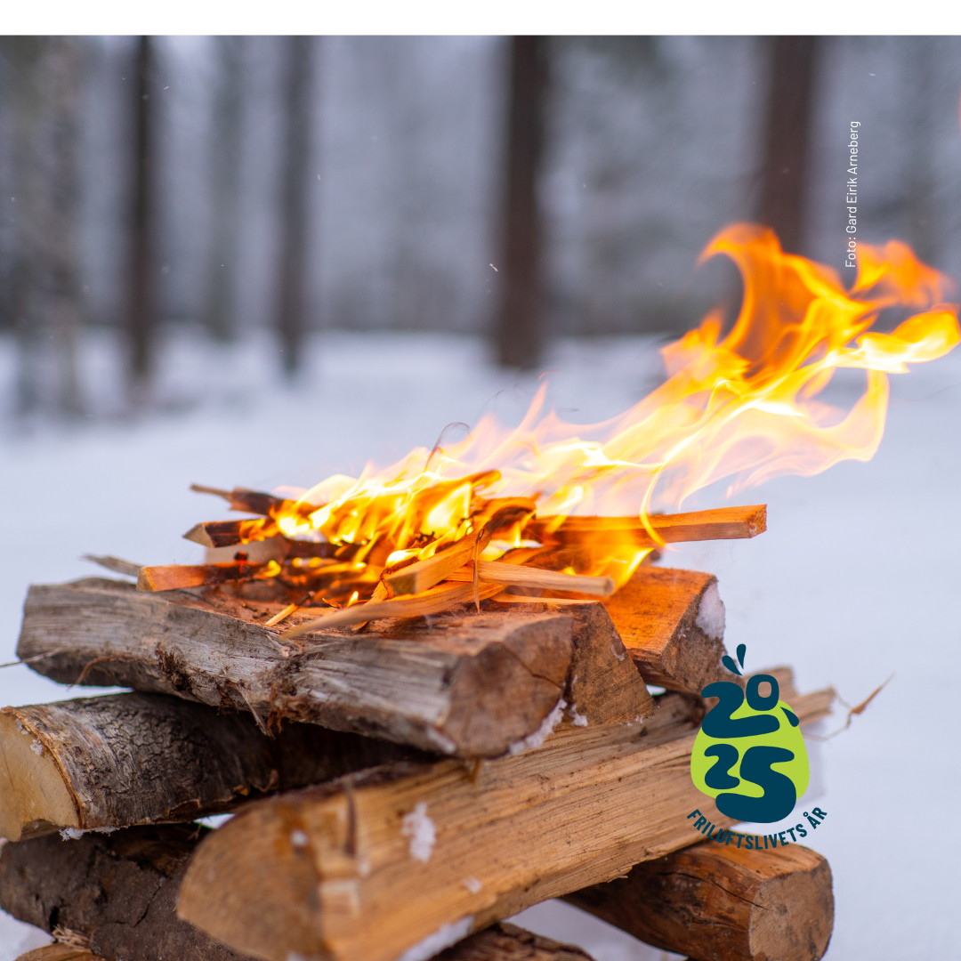 6 5