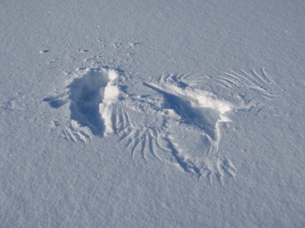 616818974 1298608632309657 5588052126019996378 n