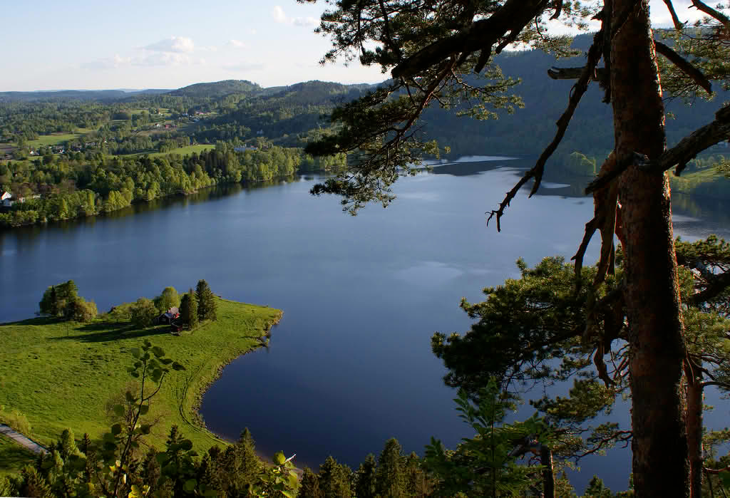 8d976e93 3d93 46e1 b140 dd7eadd66281