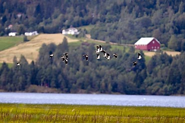 Aarnestangen juli ERU