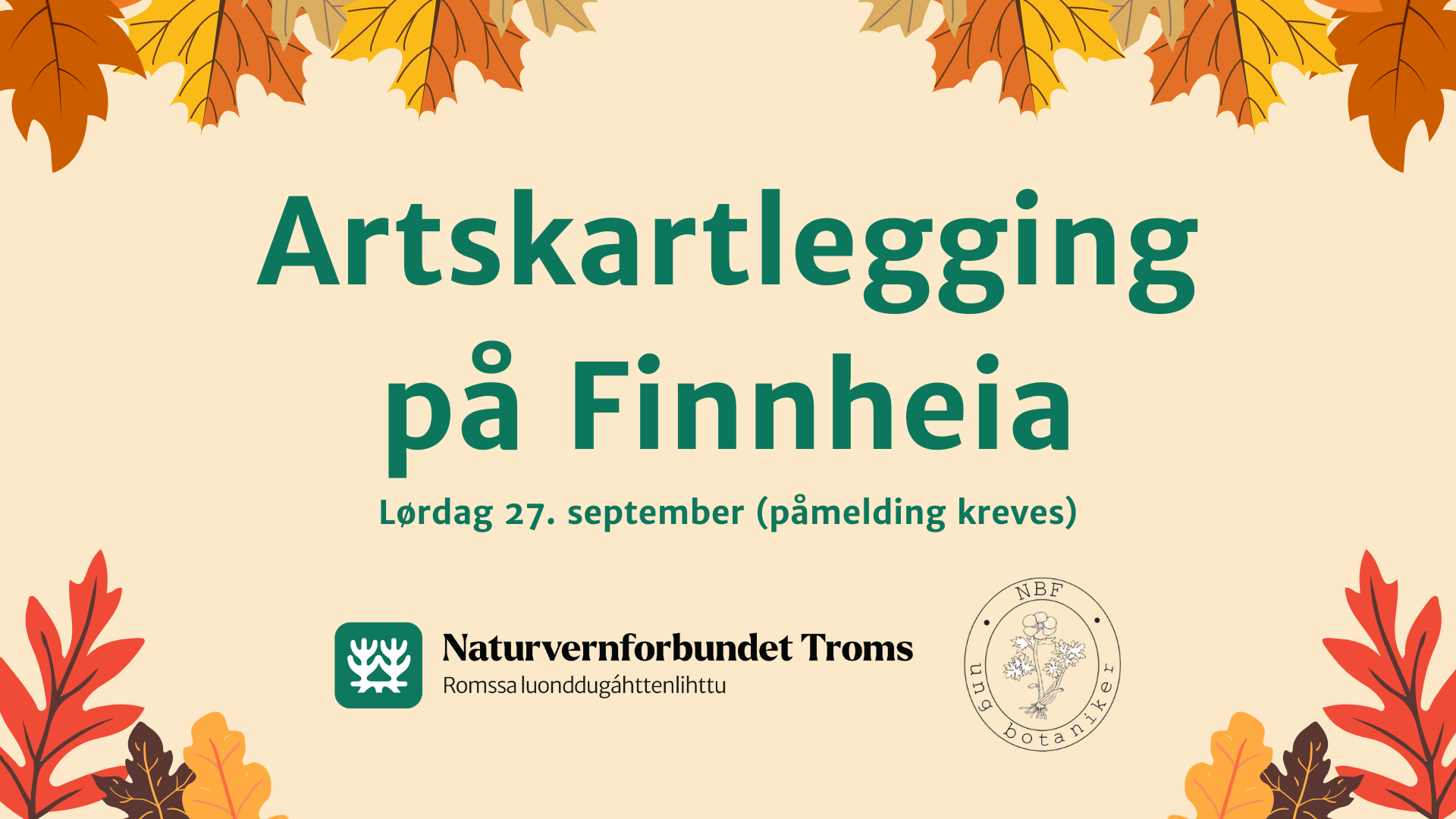 Artskartlegging på Finnheia 3