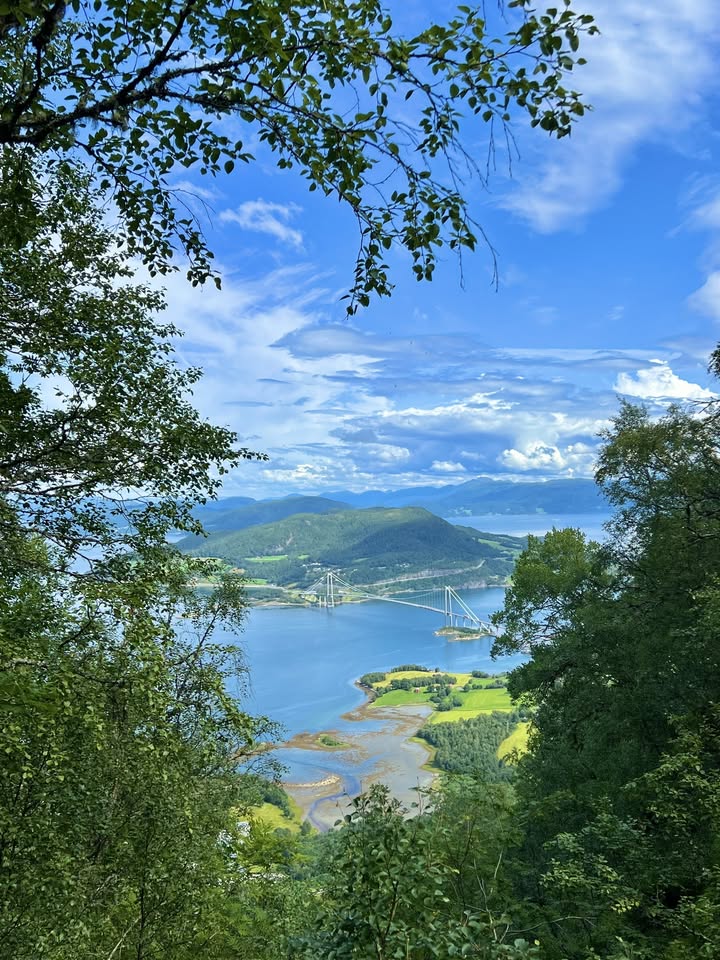 Bergsøya sol