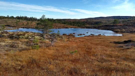 Bilde1 til hjemmeside