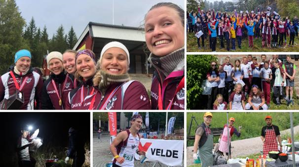 Bildekollasj 2020 til stillingsannonse