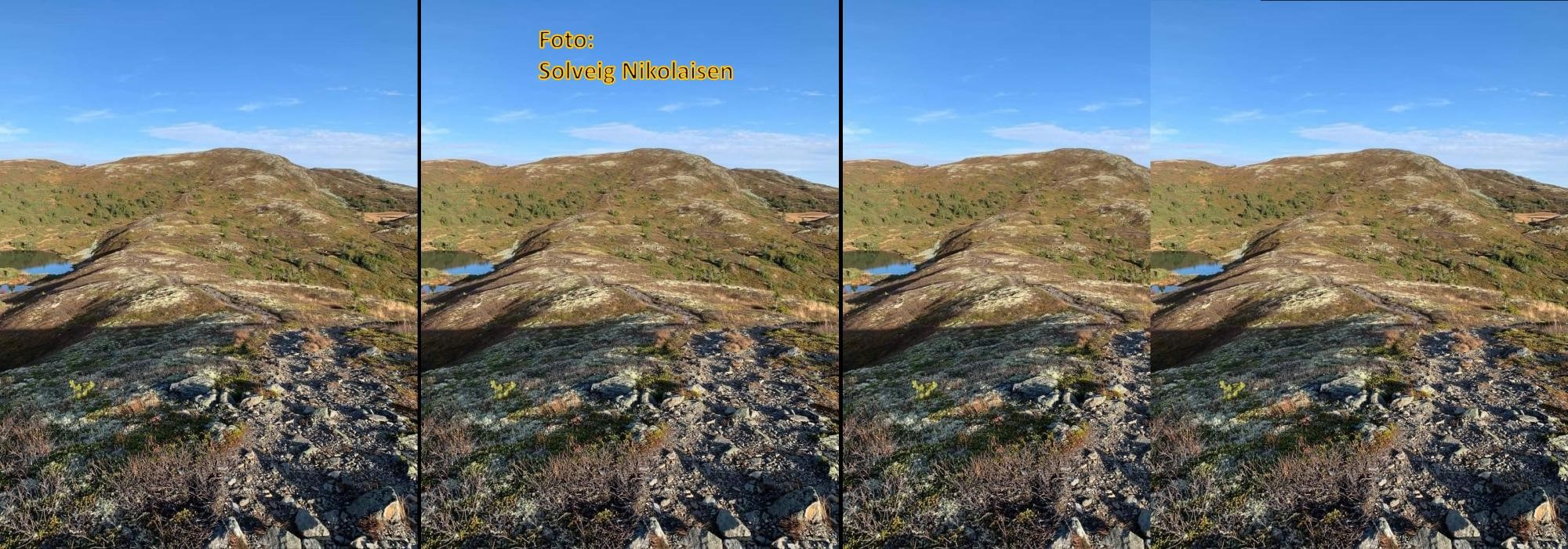 Bjørgovarden