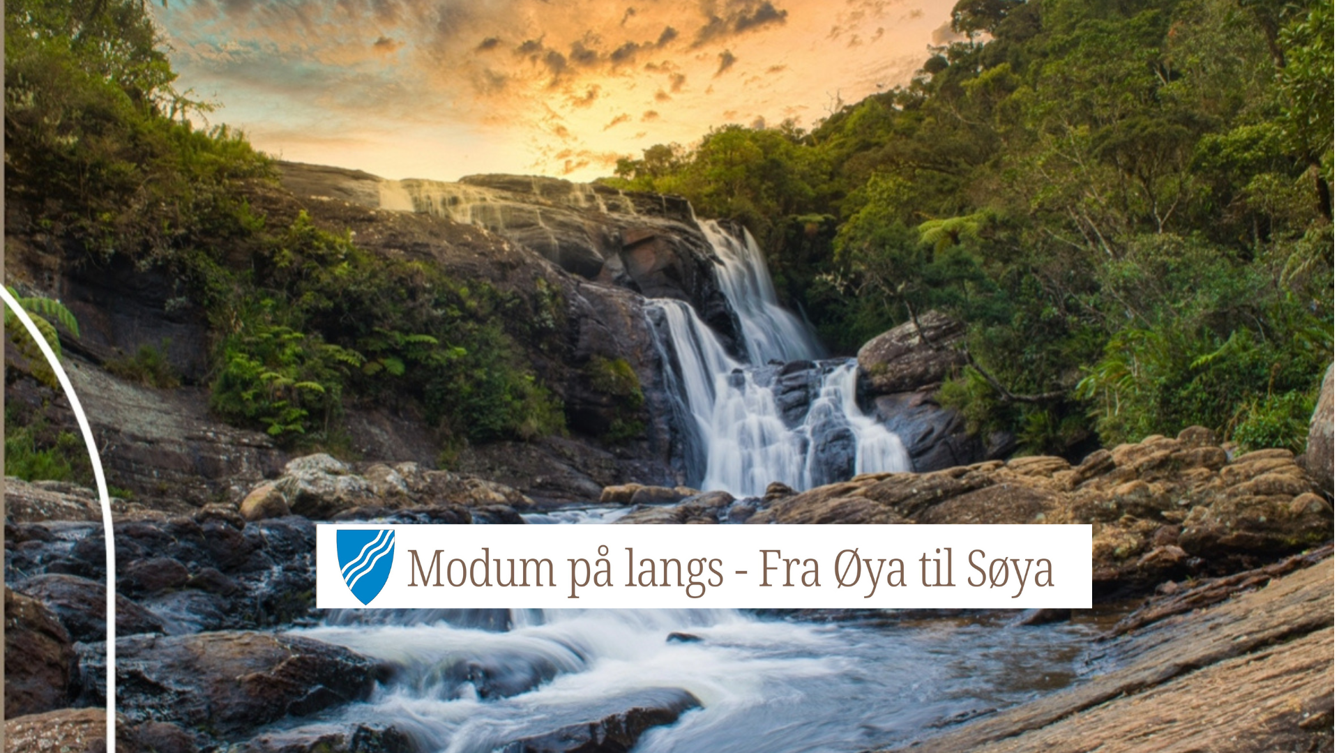 Design uten navn 3 png