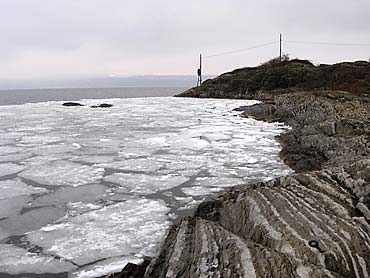 ERO Rambergoya 060412
