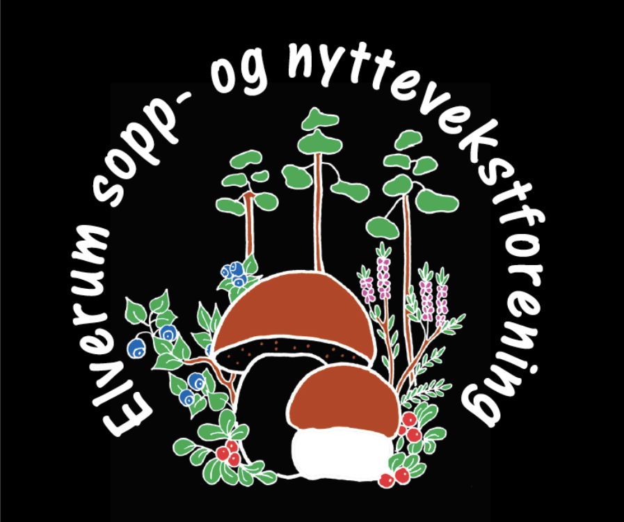 ESNF LOGO