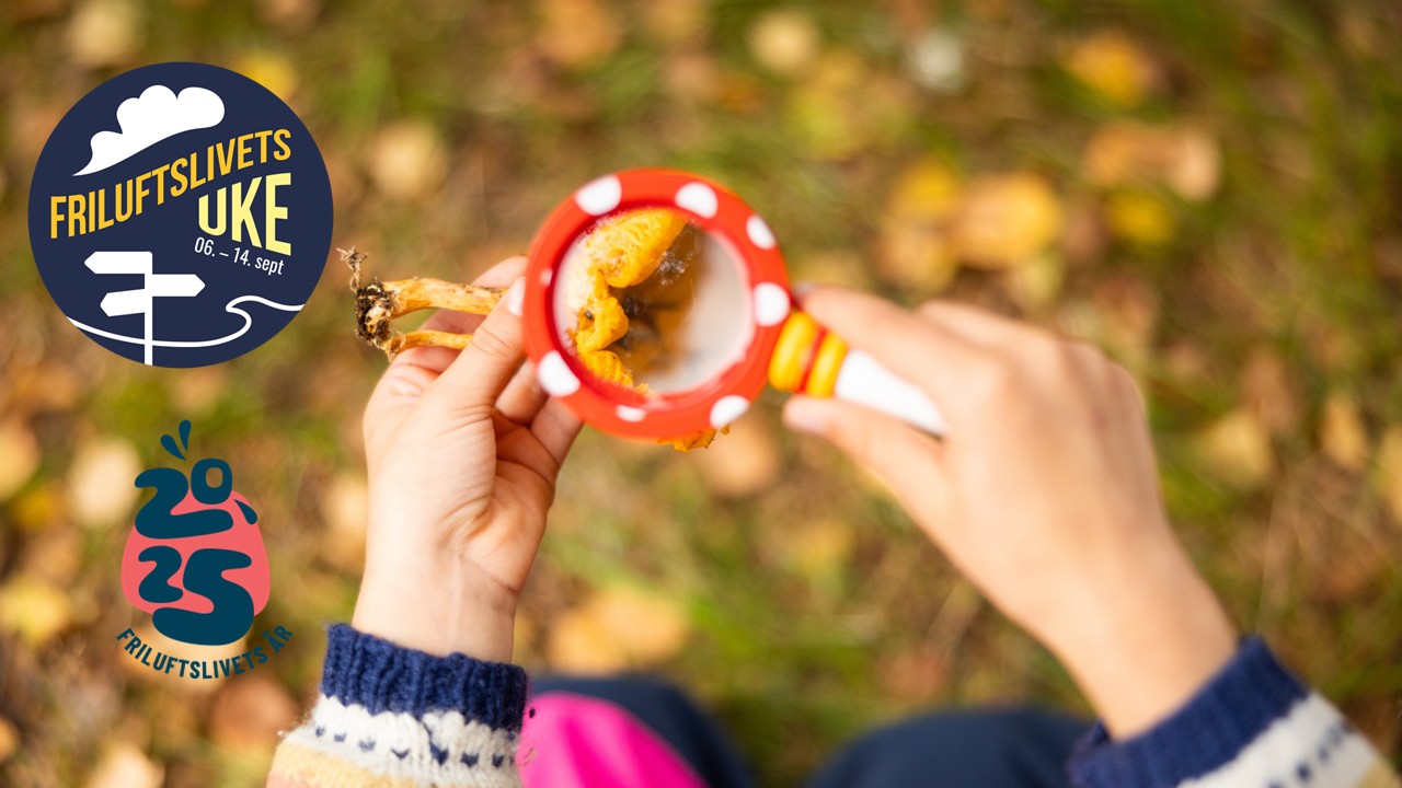 Facebook Fetsund 2025