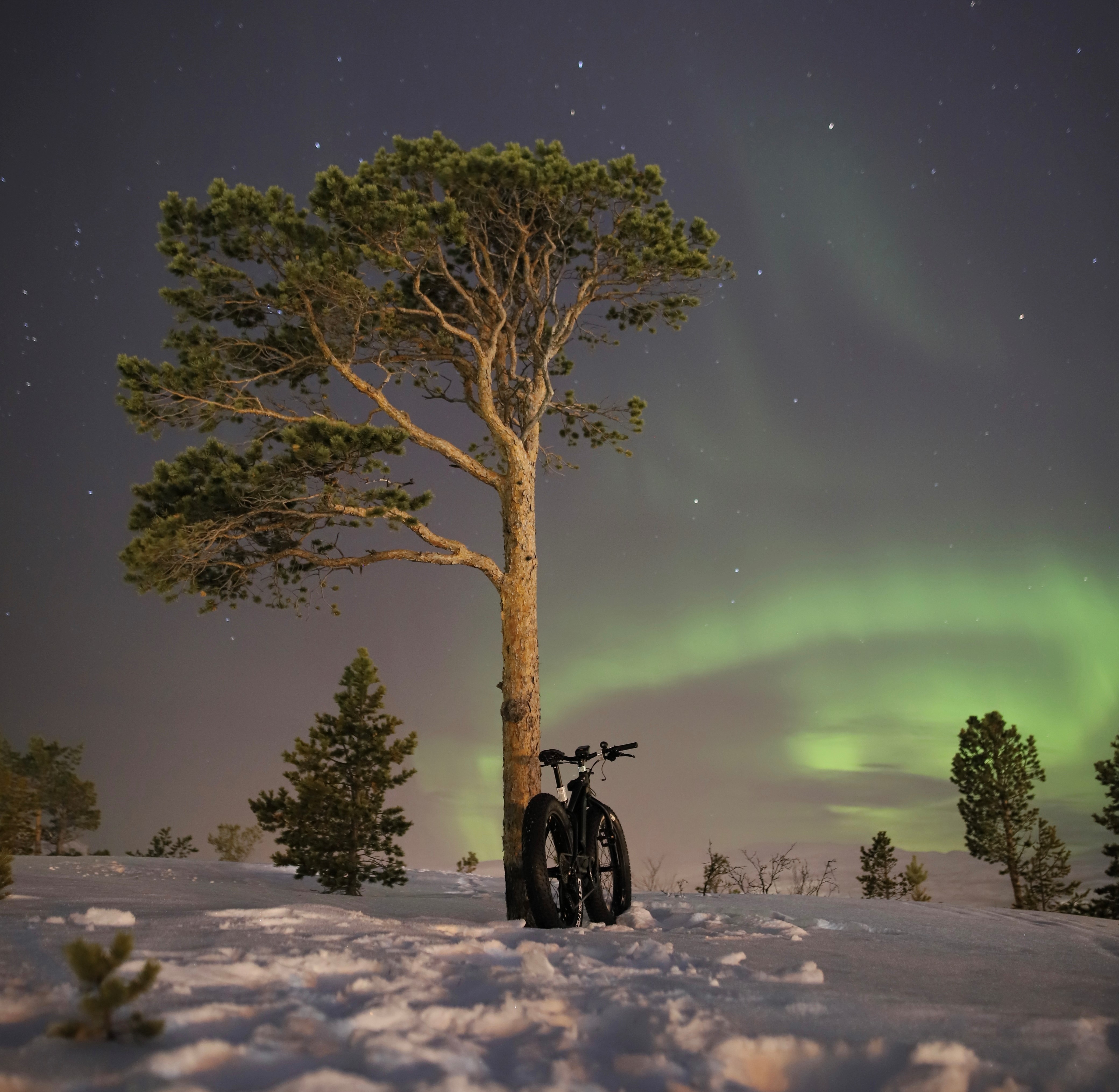 Fatbike nordlys