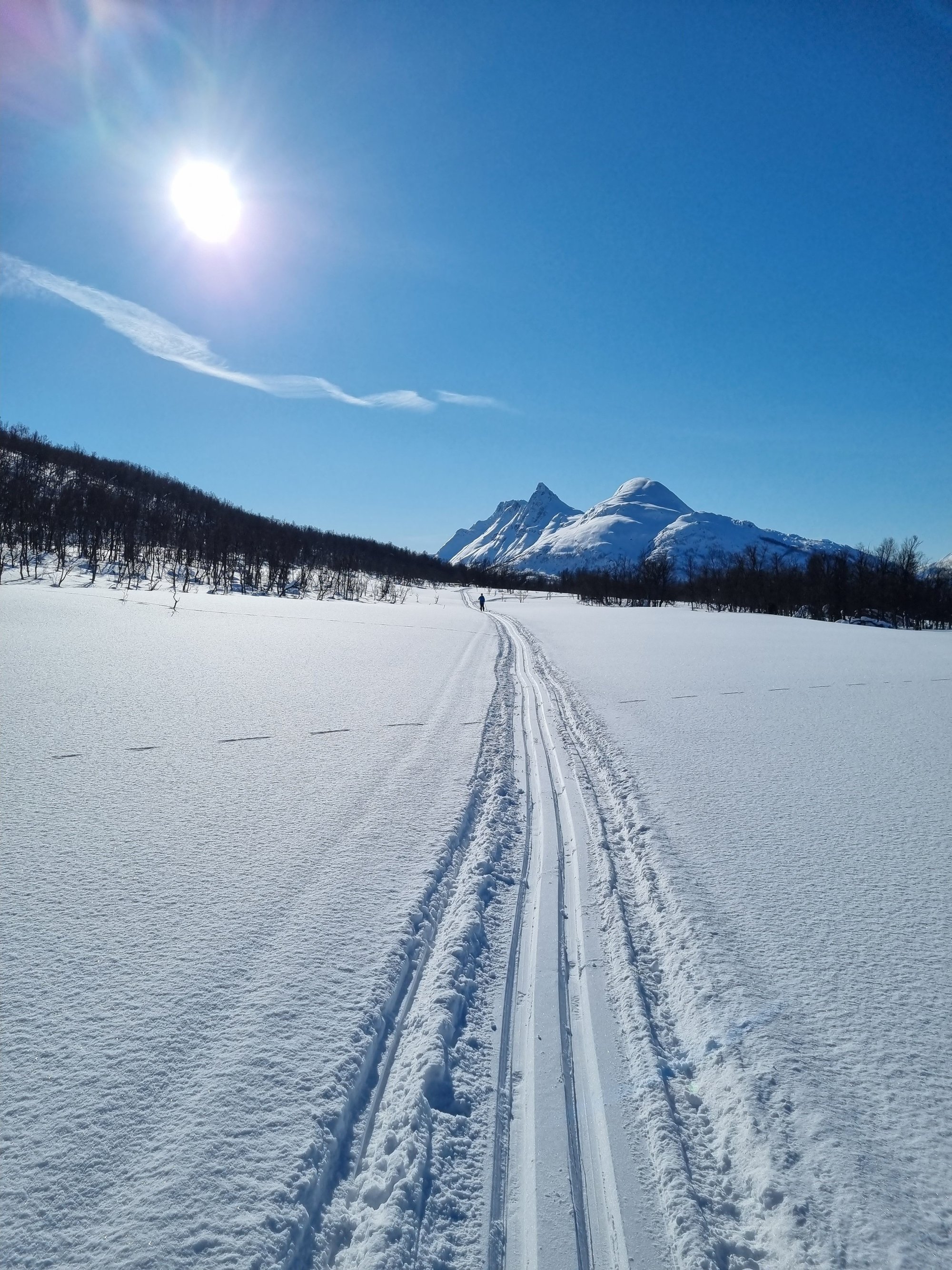 Fra Laffenbenken mot sør vinter