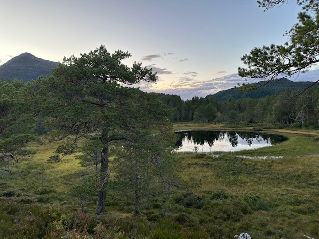 Freivatnet med Freikollen i bakgrunnen