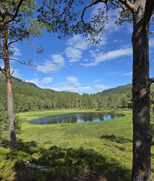 Freivatnet foto Bjørn Hultgreen