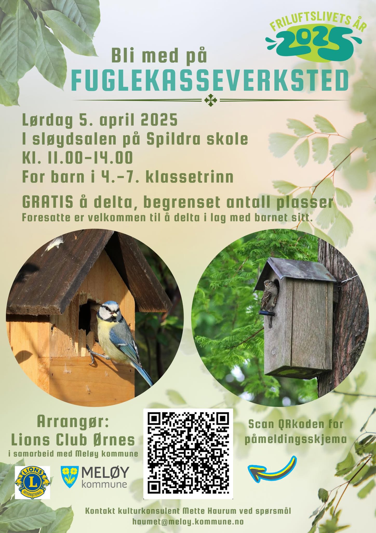 Fuglekasseverksted 050425