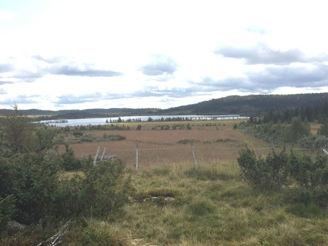 Hornsjøen MRS