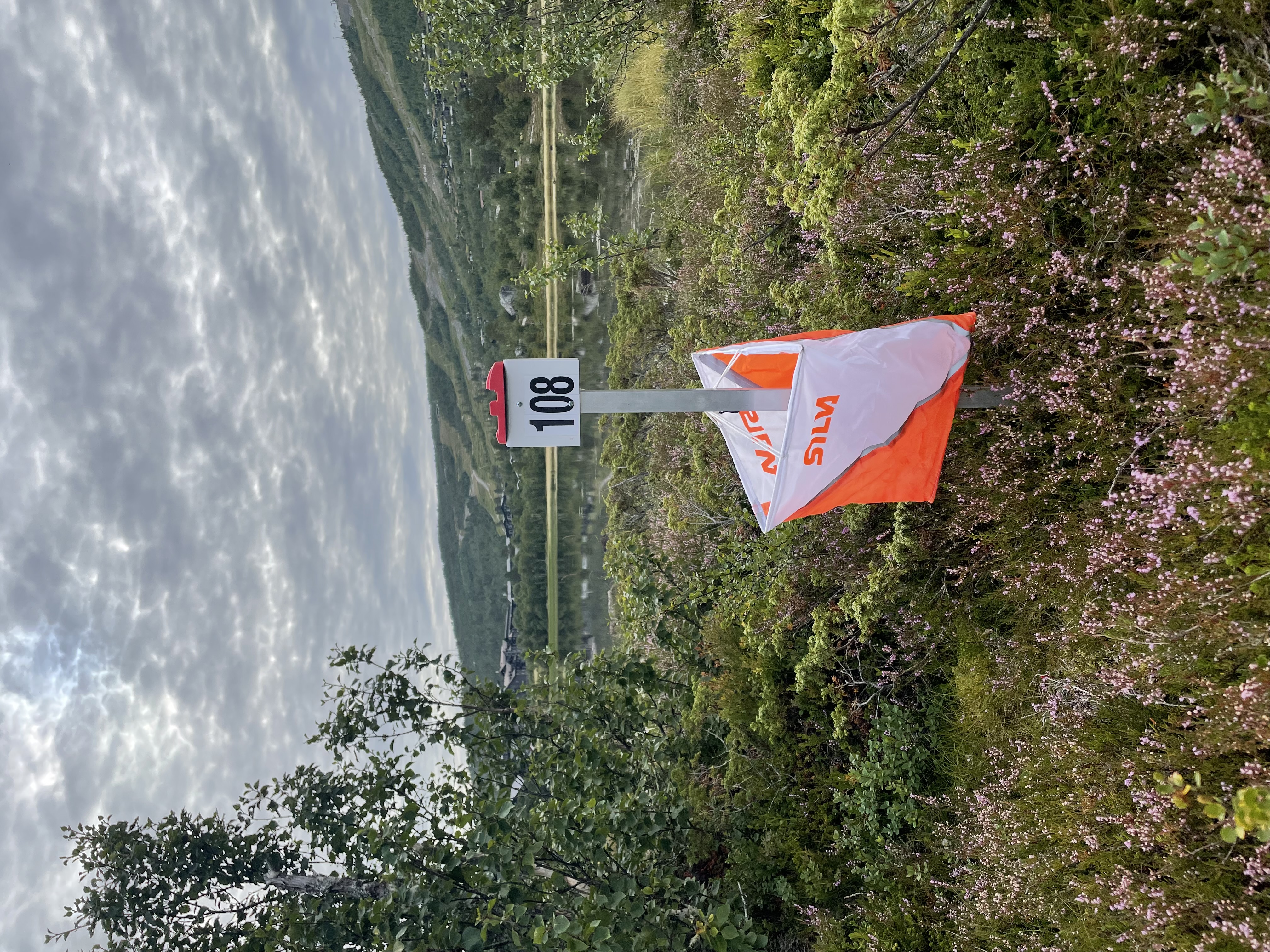 IMG 0725