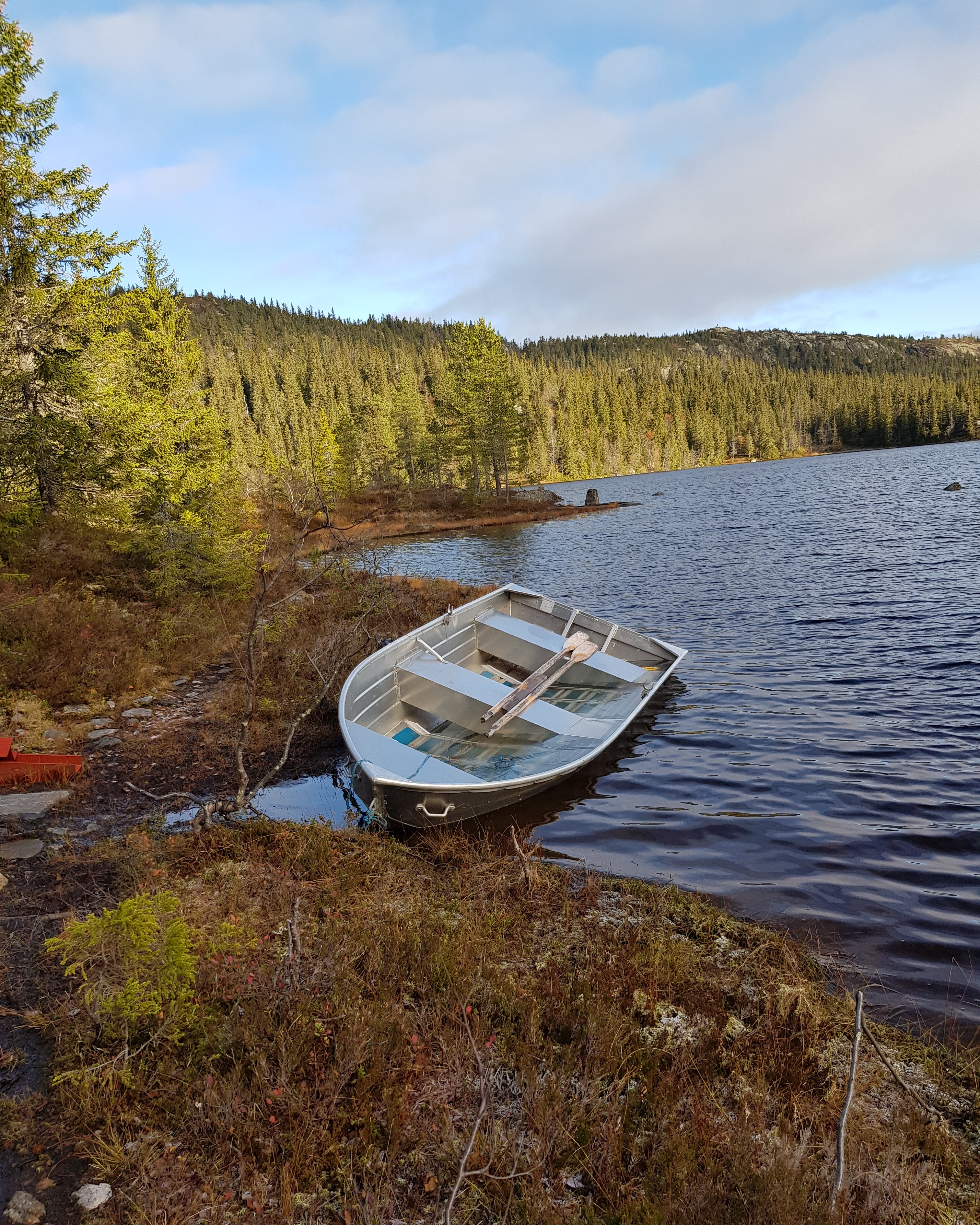 IMG 20201016 153102 680