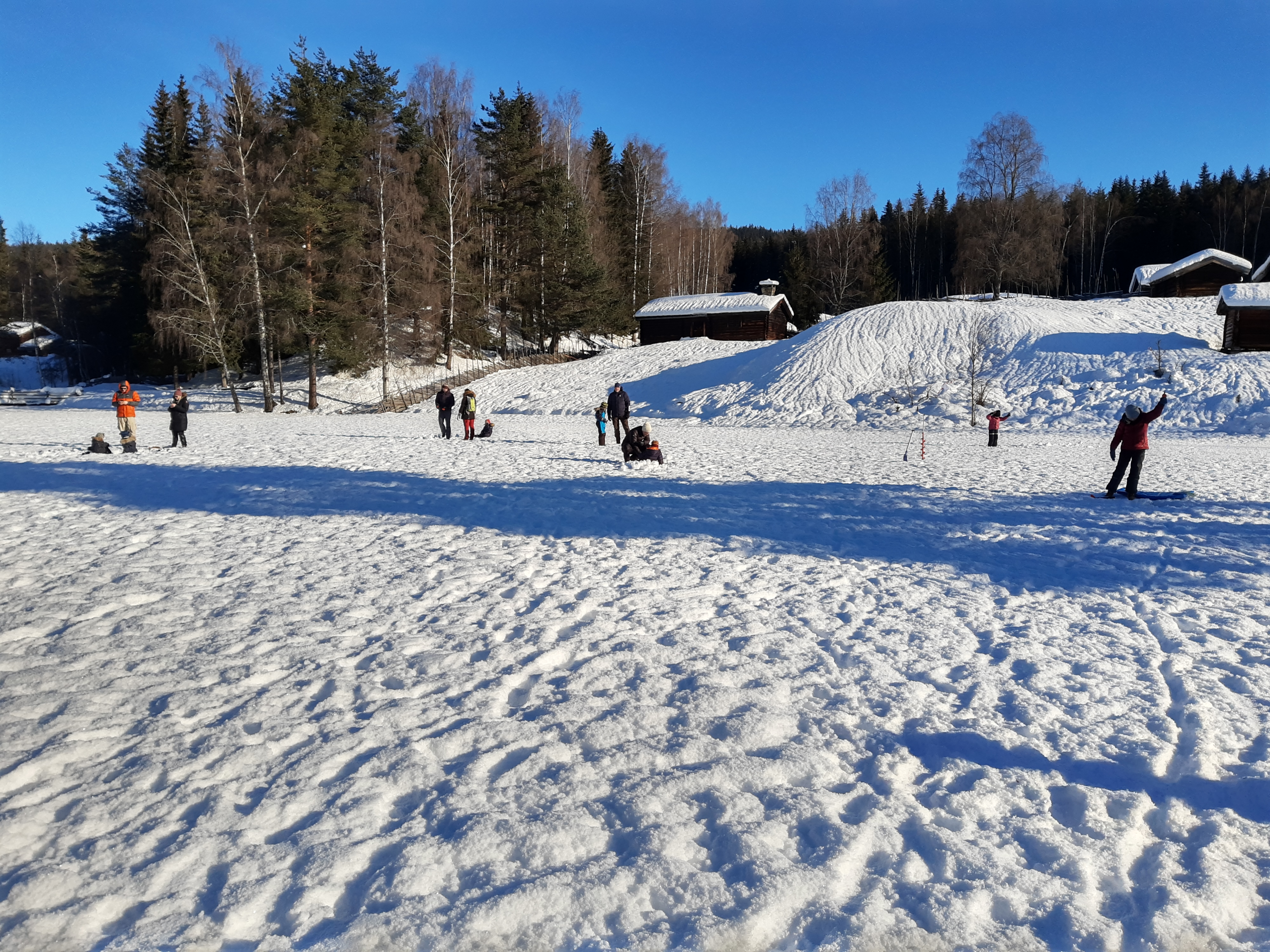 IMG 20210214 123143351 HDR