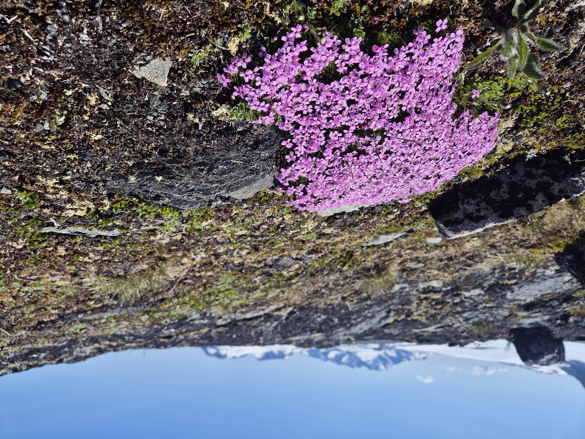 Jotunheimen n