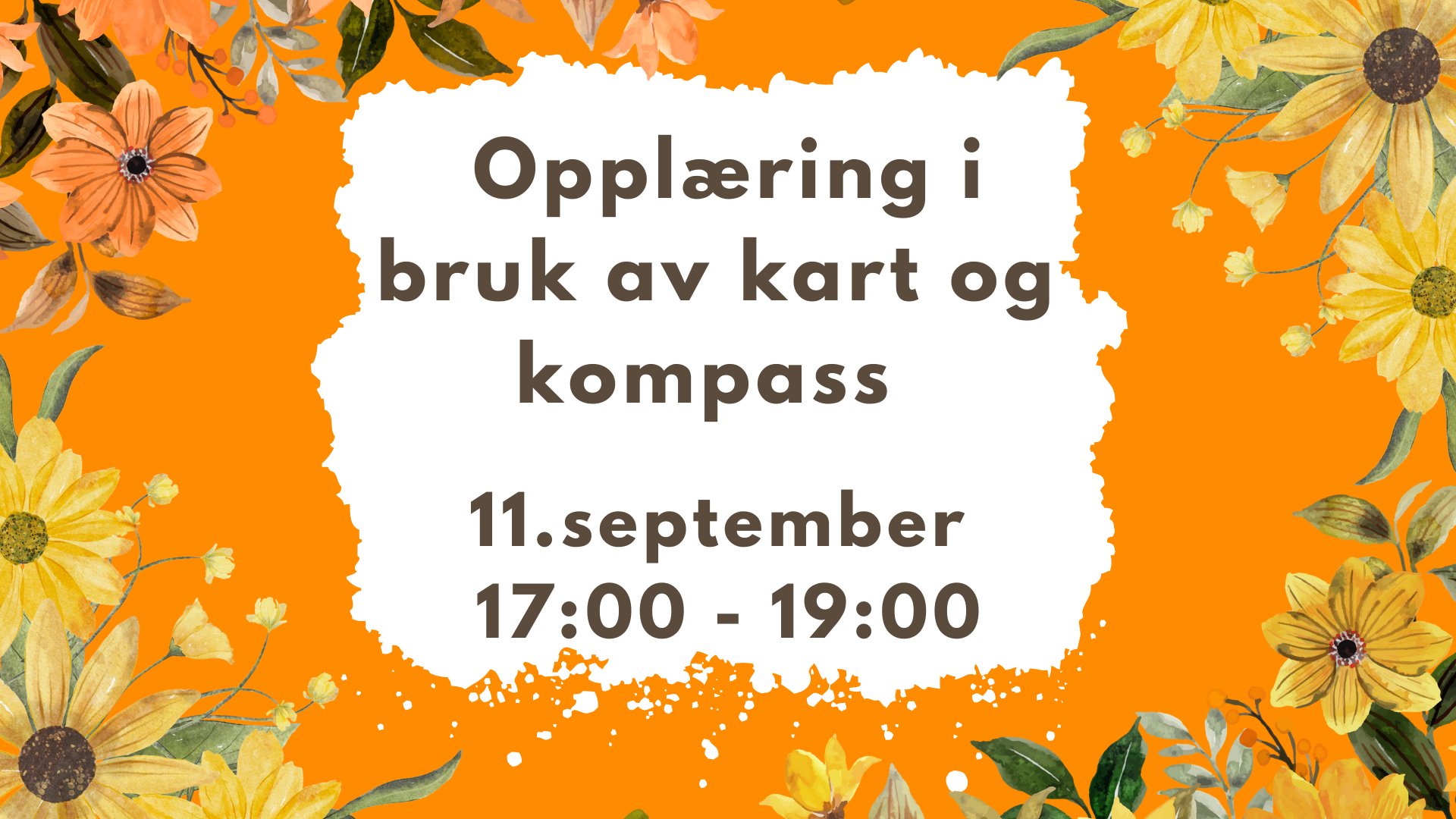 Kart og kompass