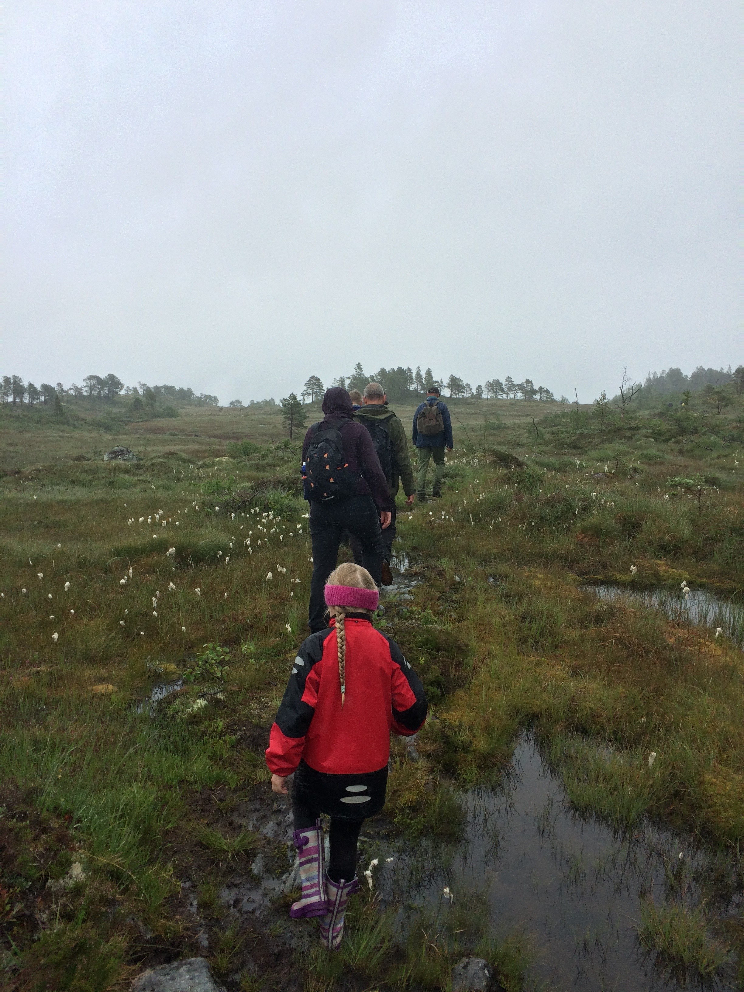 Kløvvegmarsjen 2016 folk på vandring over myr