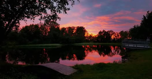 Kobbetjønna