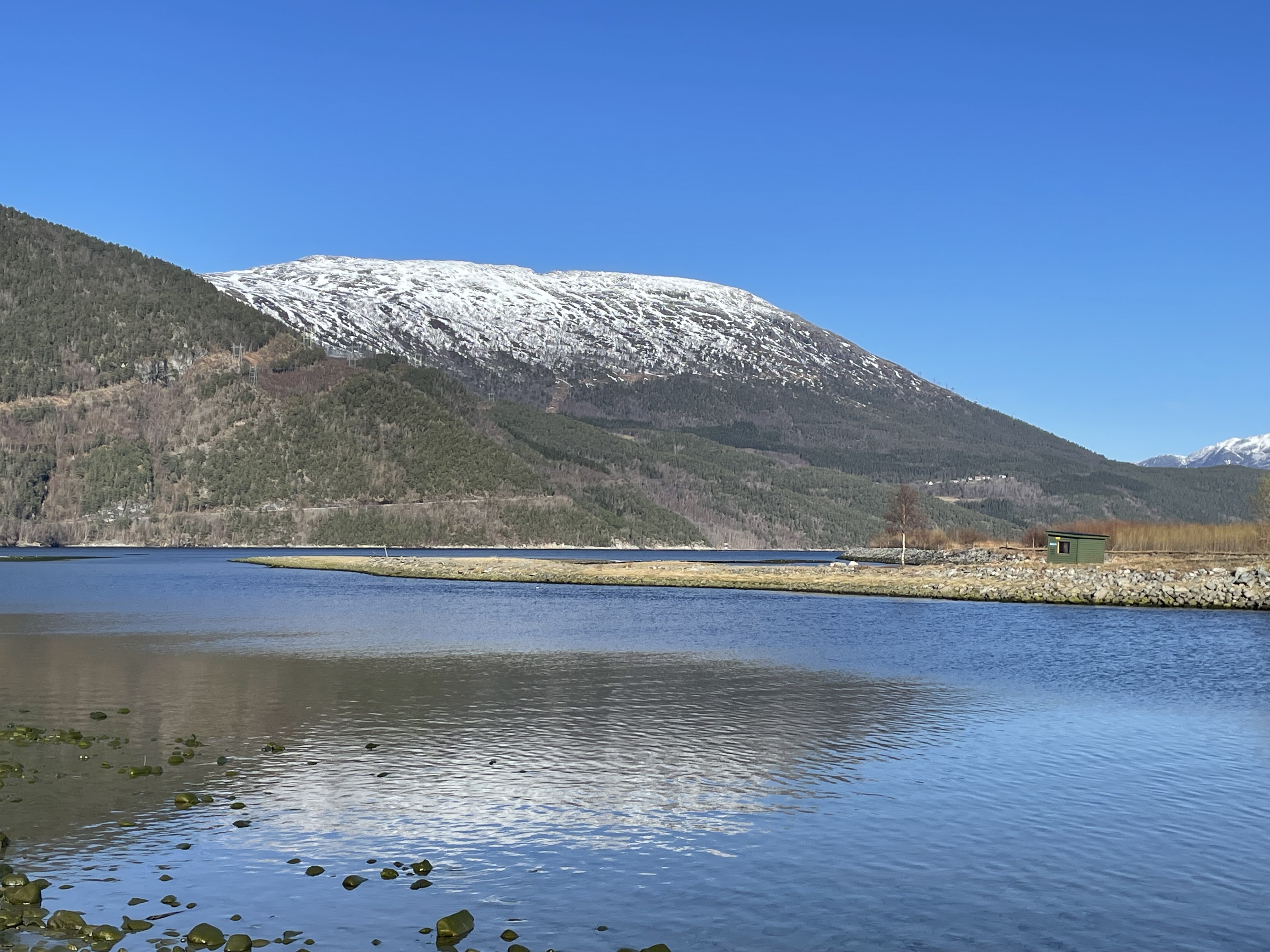 Langs Driva sørside april 2024 9