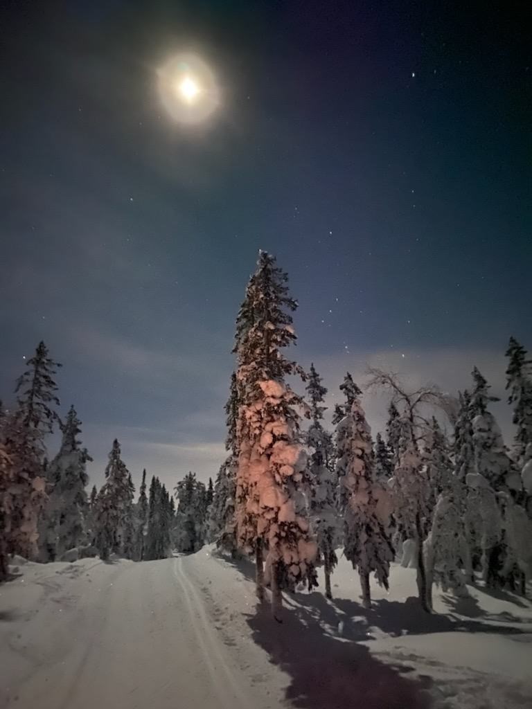 Måneskinnstur2 foto Ole Henrik Frisvold