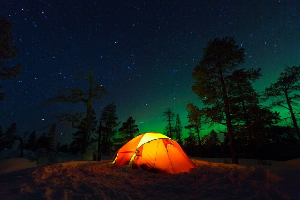 Natt i naturen 2
