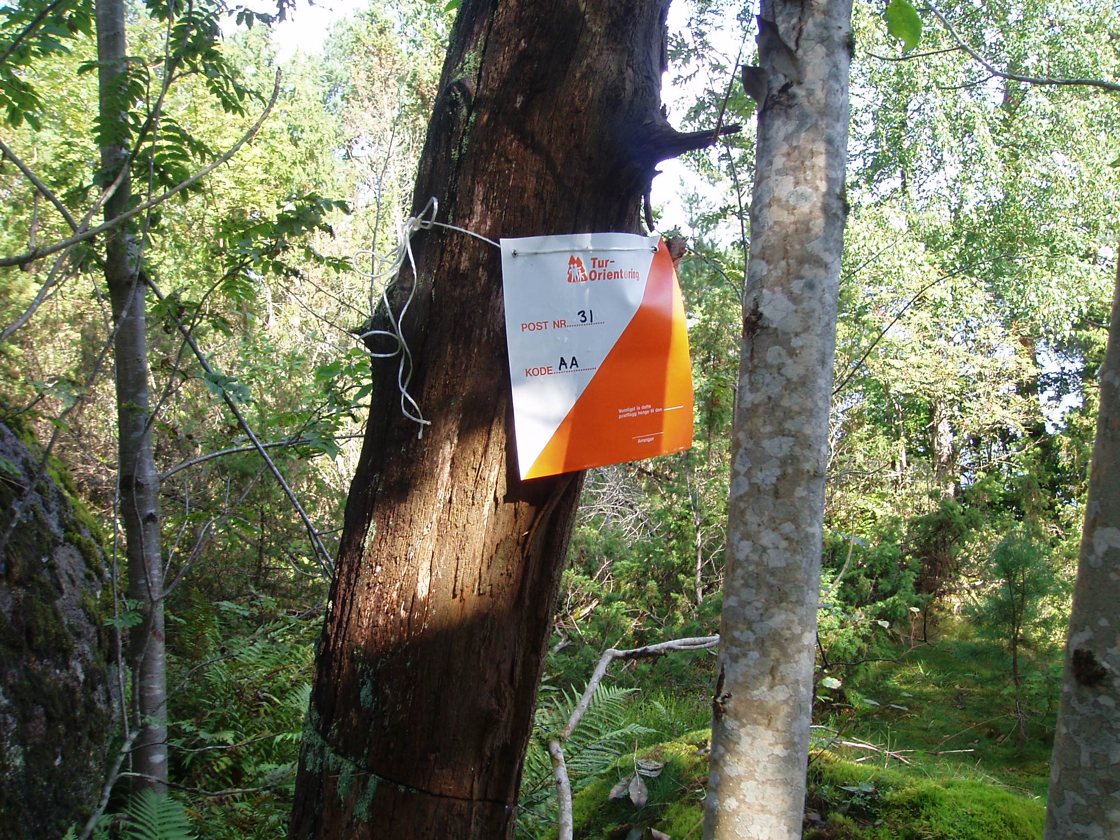 P8280395