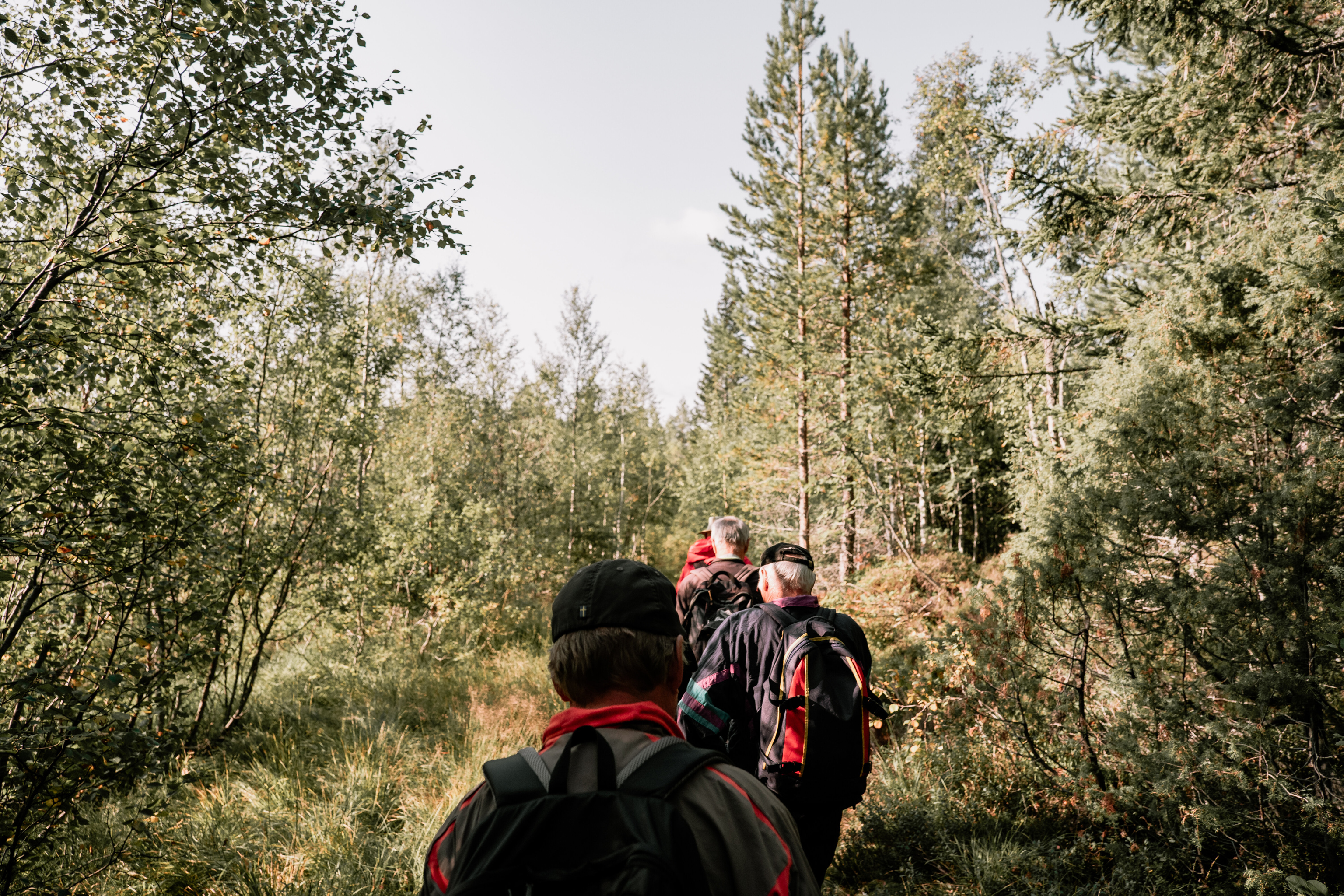 Seniortur Kongsberg 1048018