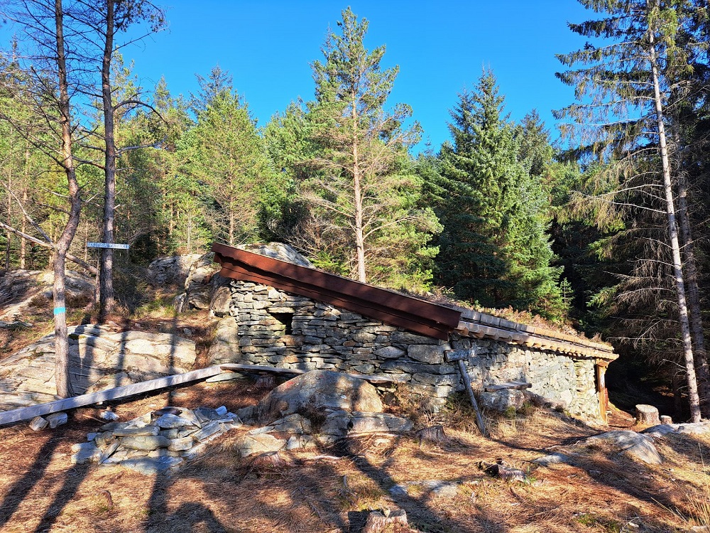 Skjenefloren på Fromreide