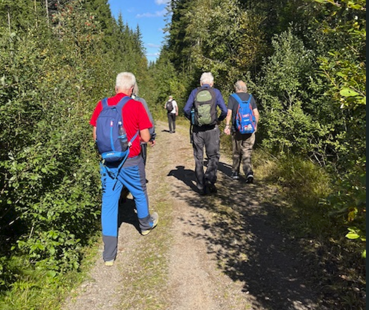 Høstvandring
