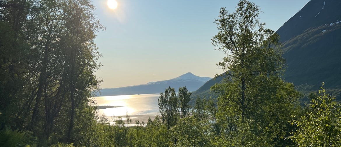 Skjermbilde 2025 08 22 kl 20 14 05