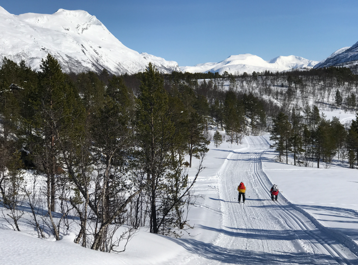 To personer går på ski i fjellskog med vakre snødekte fjell i bakgrunn.