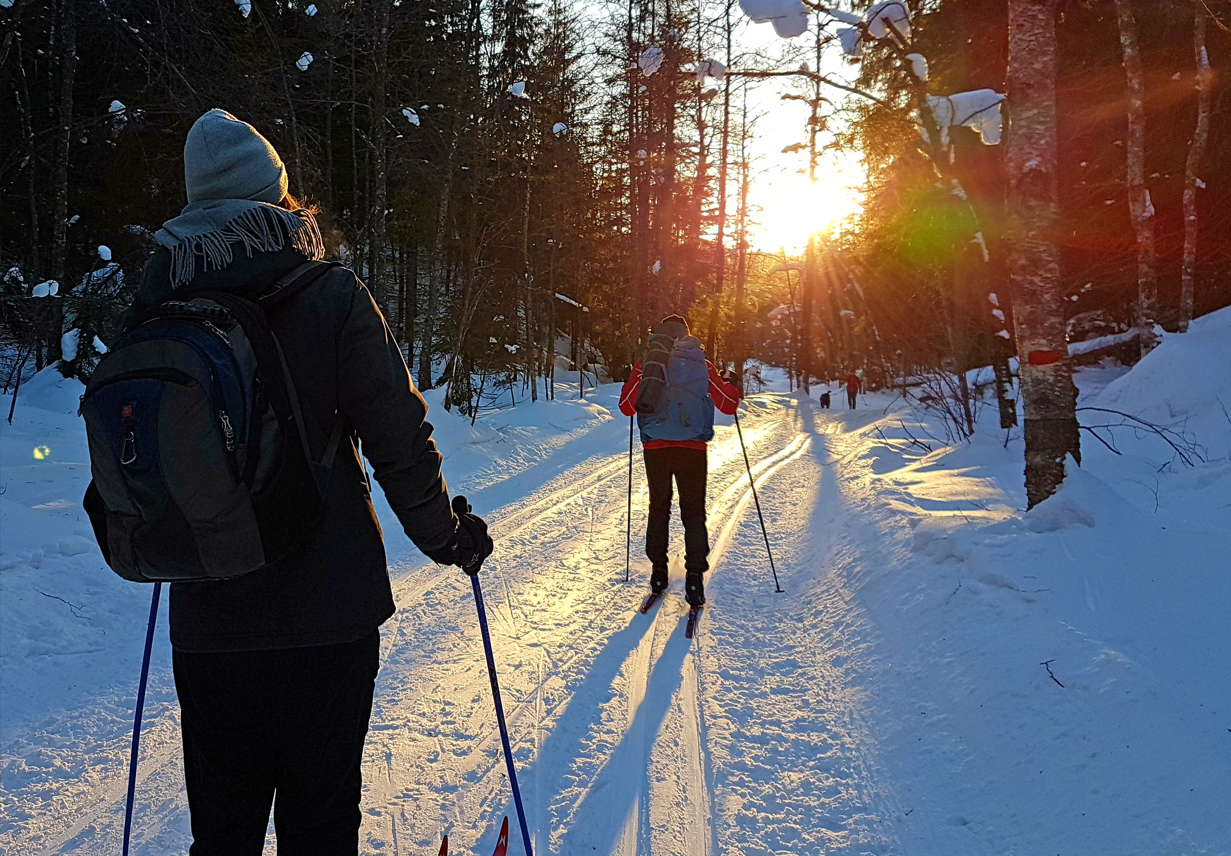 To personer går på ski i skogen. Sola skinner på dem.