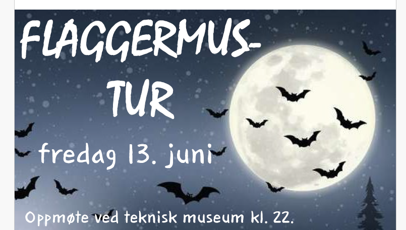 Skjermbilde 2025 06 10 093705