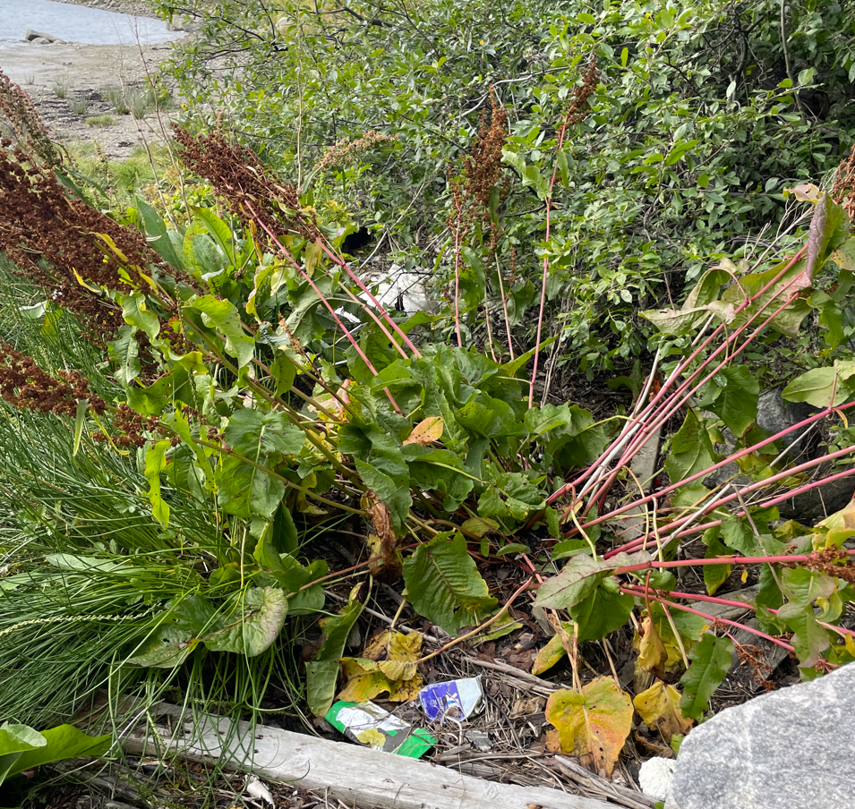 Skjermbilde 2025 09 04 085423