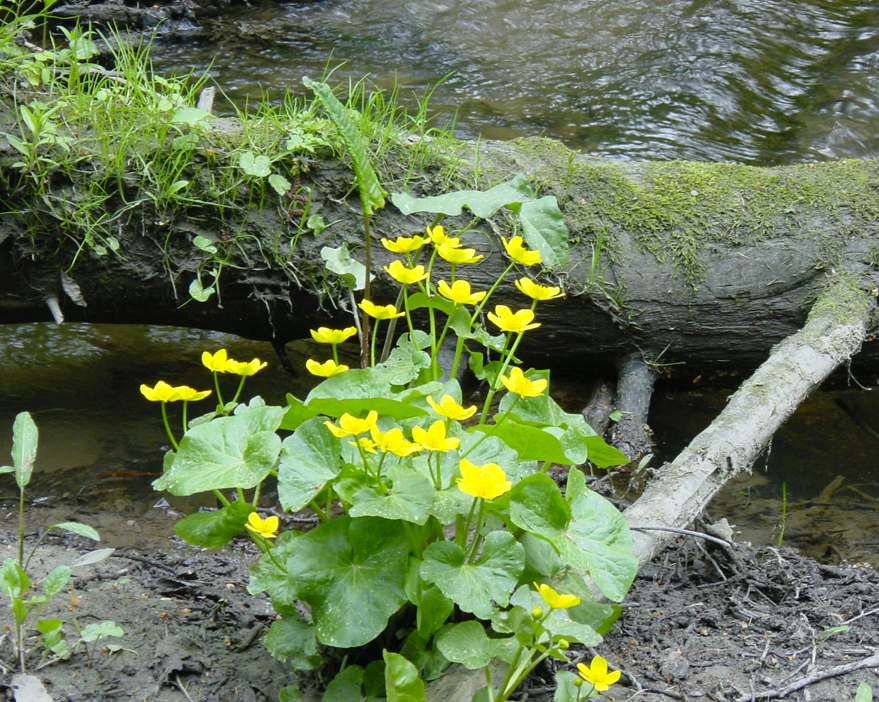 Skjermbilde 2025 09 04 124503