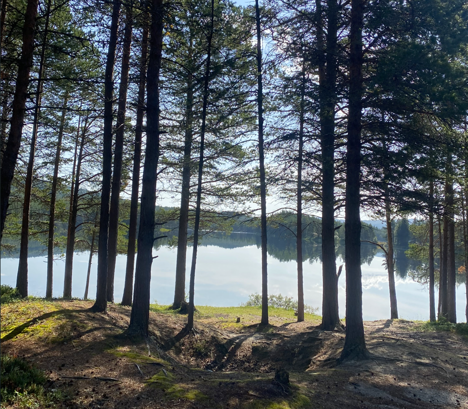 Skjermbilde 2025 09 05 110905