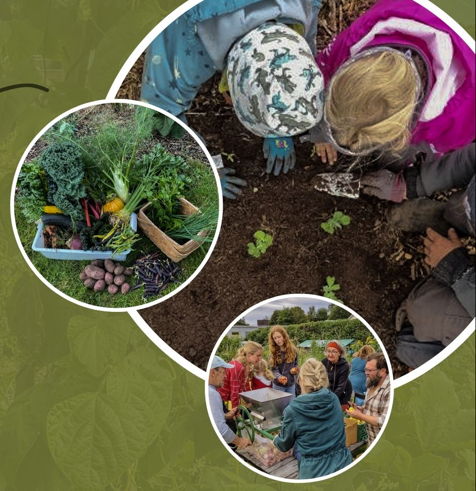 Skjermbilde 2025 09 05 113314