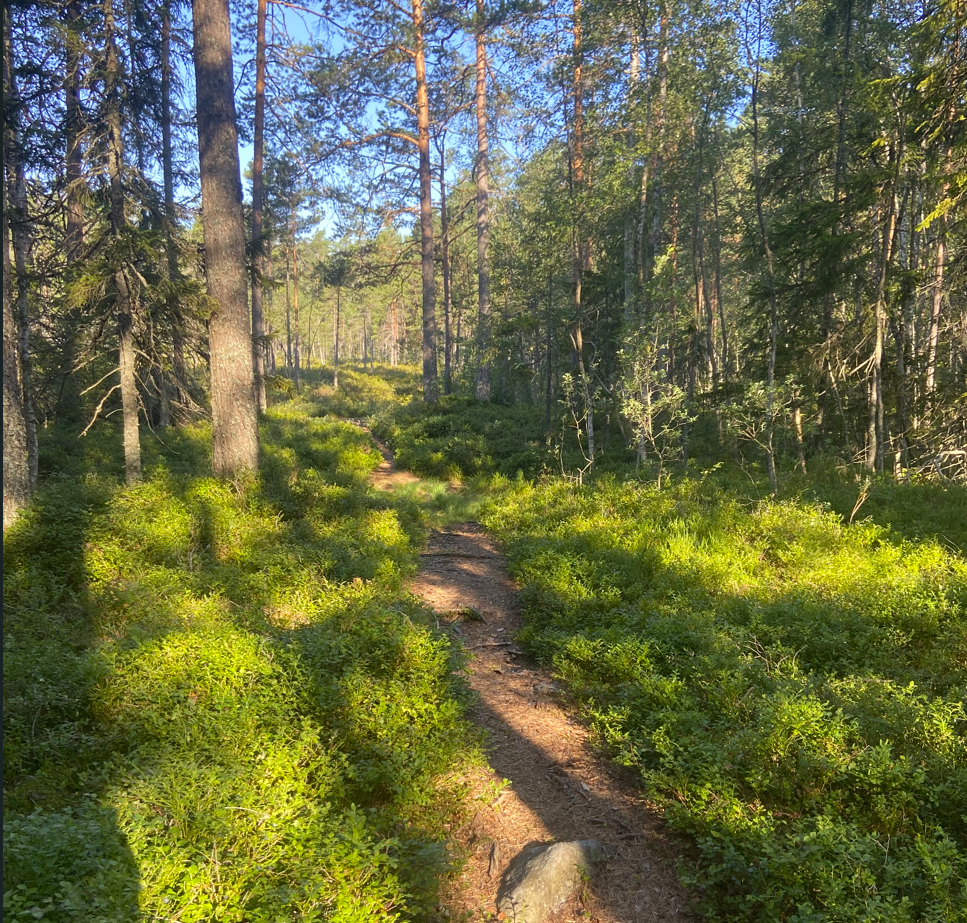 Skjermbilde 2025 09 08 122842