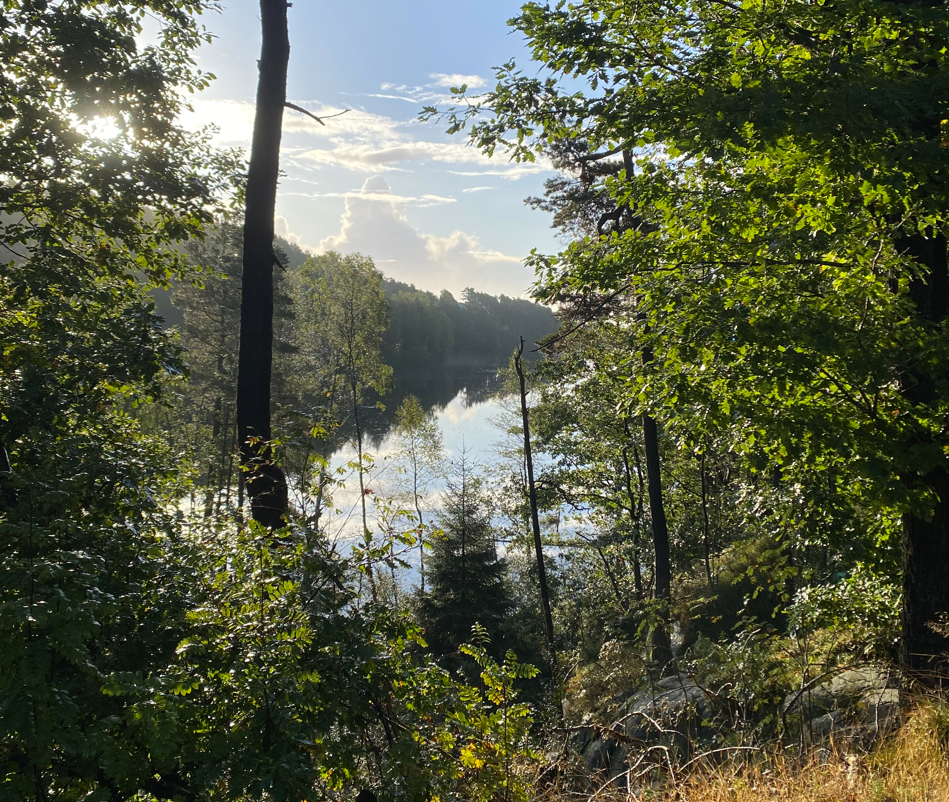 Skjermbilde 2025 09 23 122711